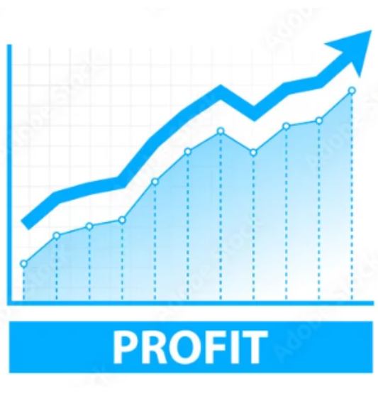 Profit Signal - Discover the Systematic Domain Investment Strategy